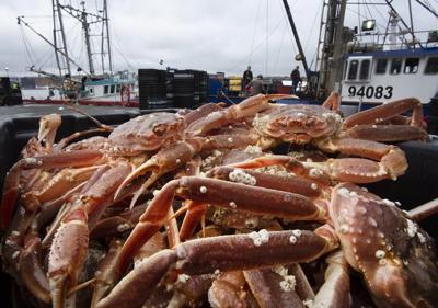 La p锚che au crabe semble 锚tre dans une impasse 脿 Terre-Neuve-et-Labrador