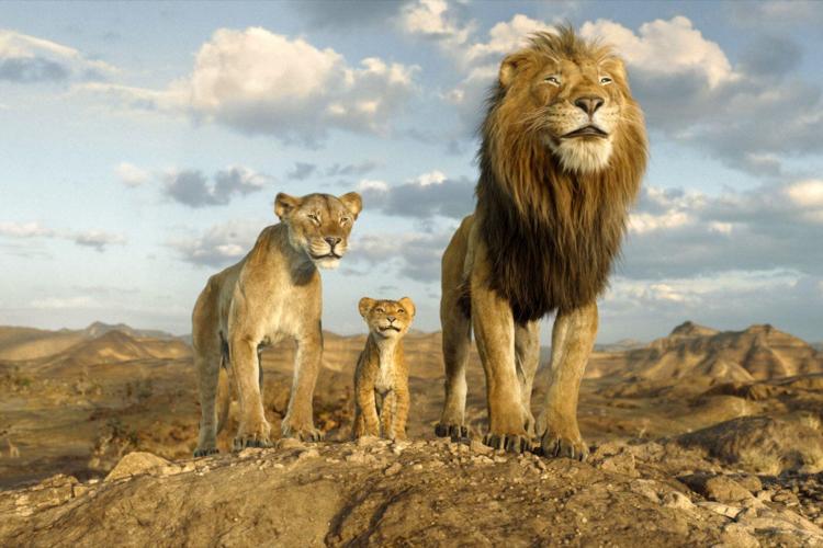 Barry Jenkins on why he made 'Mufasa' and how it changed him as a filmmaker