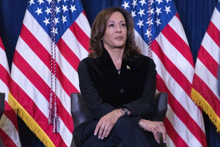 Biden, Harris thank major Democratic donors and urge them to stay engaged after tough loss to Trump