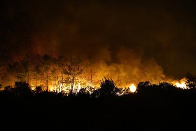 Volunteer firefighter dies in Turkey while tackling wildfire, 8 people injured