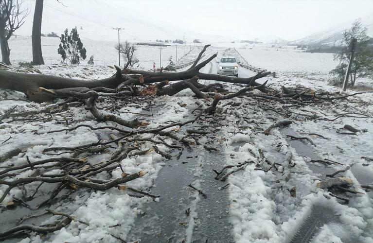 At least 49 people have died in flooding in South Africa, officials say