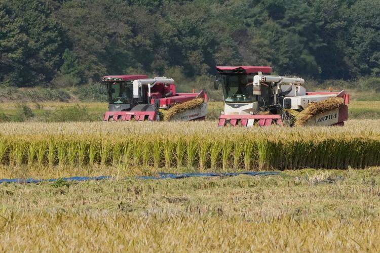 South Korean growers sue state power utility, blaming climate change for crop damage