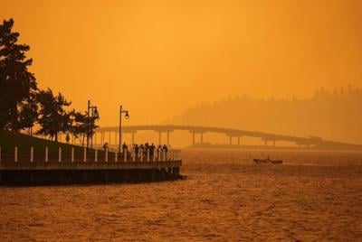 La fumée des incendies de forêt mènerait à des déficits cognitifs, selon des études