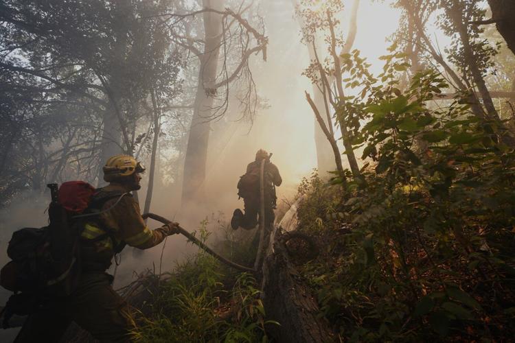 Study finds climate change set the stage for devastating wildfires in Argentina and Chile