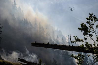 Wet and mild winter is 'good news' for B.C. wildfire season, says forecaster