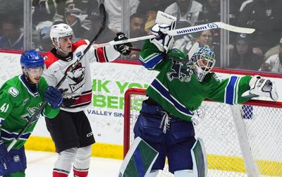 Canucks beat Checkers 3-2 to win first Calder Cup