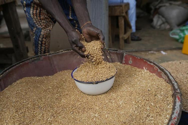 Climate and violence hobble Nigeria's push to rely on its own wheat after the hit from Russia's war