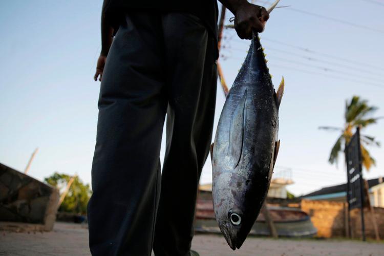 European fishing firms reflag ships to tap Indian Ocean tuna quotas, report finds