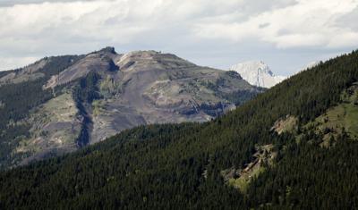 Coal mines on Alberta's eastern slopes could push fishery 'beyond recovery': study