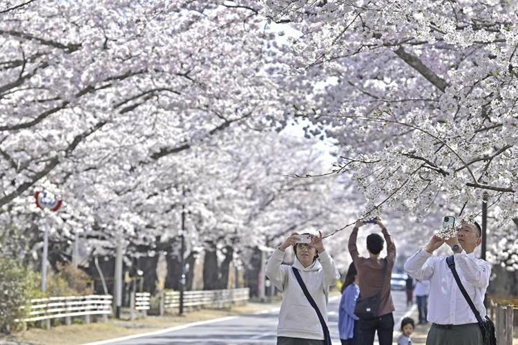 Small areas reopen near Fukushima nuclear plant, few return