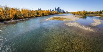 'Flag is up': Calgary warns outdoor water restrictions may be coming