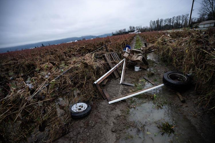 Abbotsford floodwaters recede but more rain in store for B.C.'s Fraser Valley