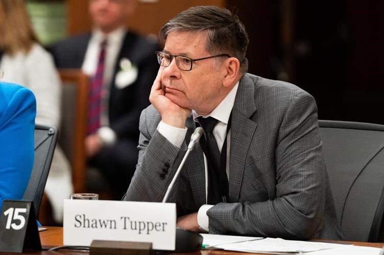 Canada Elections commissioner reviewing complaints related to foreign interference