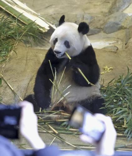 Japanese bid farewell to beloved panda returning to China