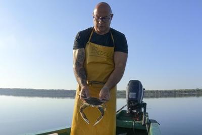 If you can't beat them, eat them: Italians cope with invasion of blue crabs this summer