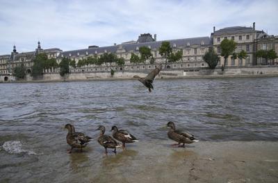 Tests show Paris' Seine River still has unsafe E. coli levels with Olympics less than a month away