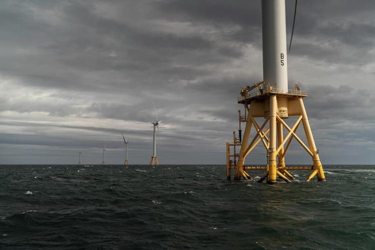 Feds unveil plan to grow wind power while sparing rare whale