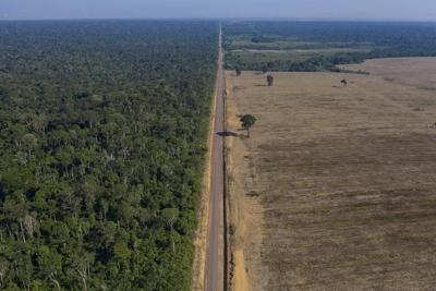 Brazil authorities probe Amazon ties to capital attacks