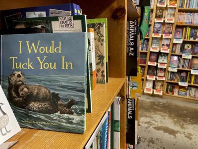 Hearing pushed back for Alaska illustrator on threat charge