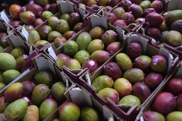 A look at what will happen to food assistance under Trump's big tax cut bill, by the numbers