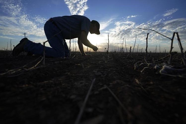 Extreme heat is a health crisis, Columbia experts say