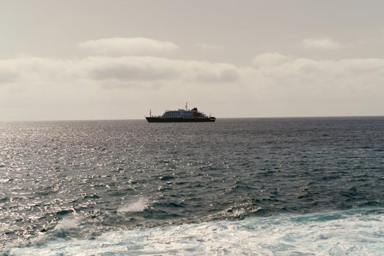 A cruise ship is waiting for help after a suspected outbreak of rare hantavirus onboard killed 3