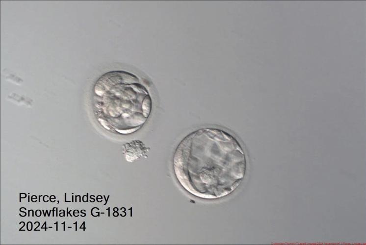 An Ohio couple welcomes a baby boy from a nearly 31-year-old frozen embryo