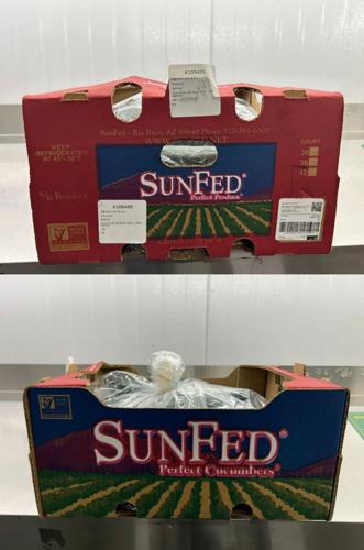 Cucumbers recalled in Canada, U.S. over possible salmonella contamination