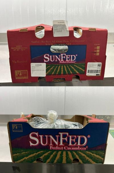 Cucumbers recalled in Canada, U.S. over possible salmonella contamination