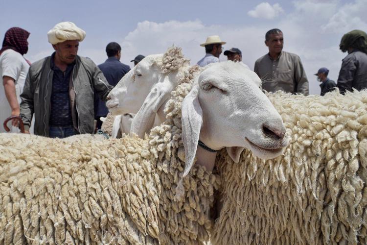 AP PHOTOS: Muslims around the world celebrate Eid al-Adha