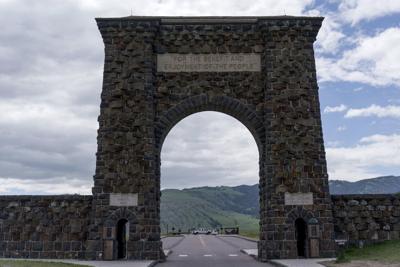 Florida man gored by bison in year's first attack by Yellowstone's most dangerous wild animal