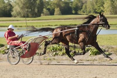 Co-owner Grant has enjoyed stellar ride with Bulldog Hanover