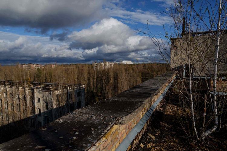 Chernobyl's radioactive landscape is testament to nature’s resilience and survival spirit