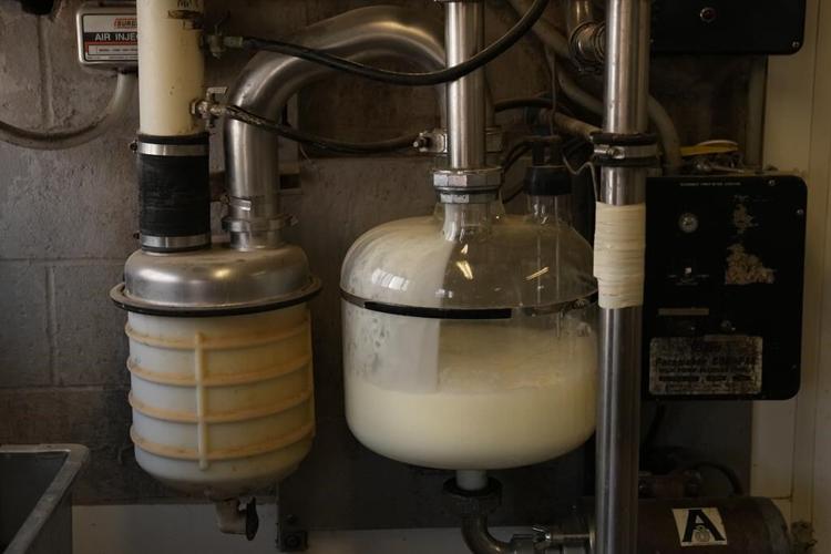 Company behind lab-grown milk protein eyes ɫtv animal-free dairy market
