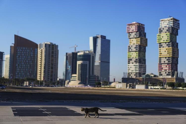 Empty streets, cranes: the city built for Qatar's World Cup