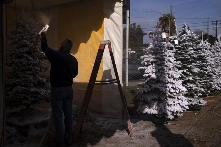 As climate warms, that perfect Christmas tree may depend on growers' ability to adapt