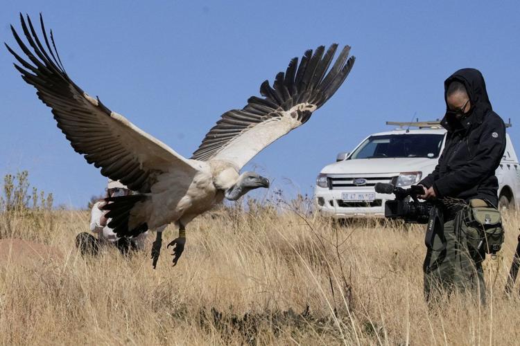 Sebabatso Mosamo, an AP visual journalist in South Africa, has died