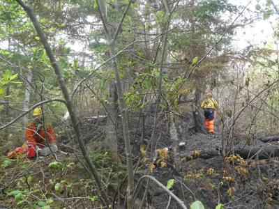 Quebec forest fire situation continues to improve with rain but risks remain: SOPFEU