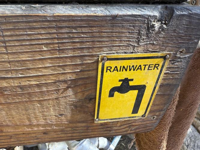 Rainwater harvesting grows in the Southwest and beyond to nourish thirsty gardens in a hotter world