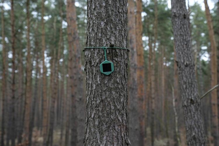 An AI-based drone that speeds up the detection and monitoring of wildfires is presented in Germany