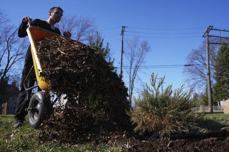 A sequoia forest in Detroit? Plantings to improve air quality and mark Earth Day