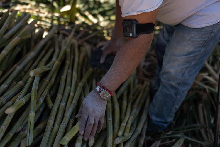 In a California farming region, researchers are mapping rural heat to protect farmworkers