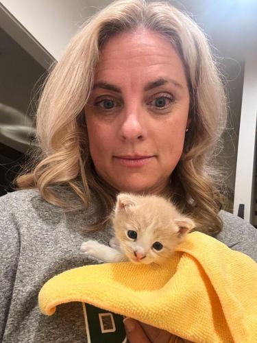 A mysterious meow from her car introduces Baylor coach Nicki Collen to a new family member