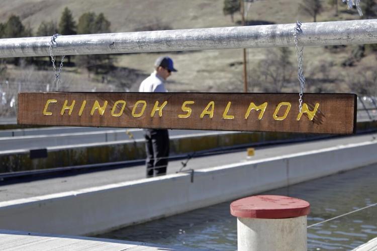 As work begins on the largest US dam removal project, tribes look to a future of growth
