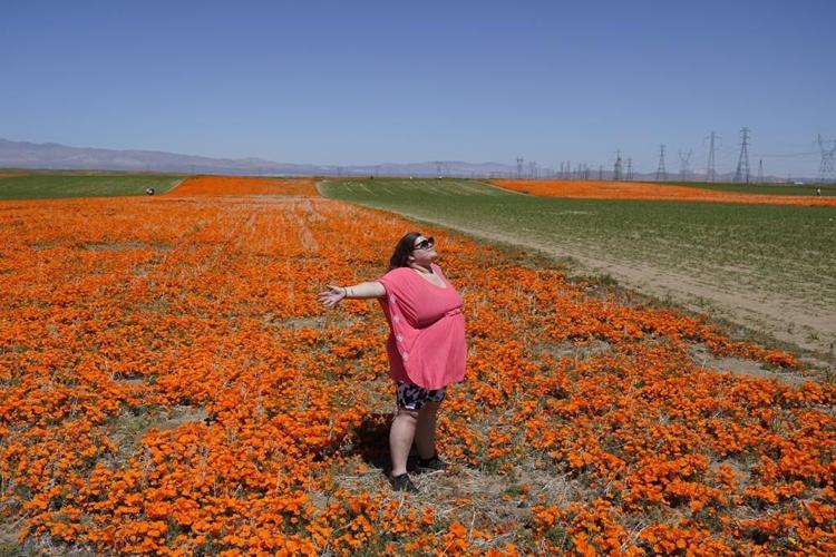 Wet winter gives way to colorful 'Superbloom' in US West