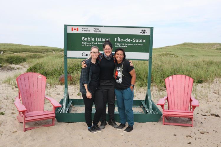 Researchers share lessons on science, friendship on Nova Scotia's wild Sable Island