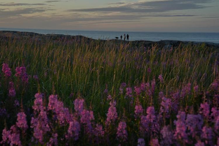 As warming threatens polar bear tourism and the ground below, a 好色tv town adapts and thrives