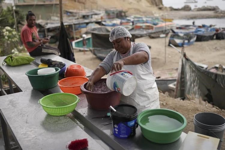 China's president will unveil a megaport in Peru, but locals say they're being left out