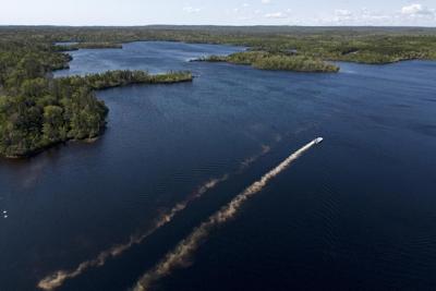Signs of early success after pesticide used against invasive species in N.S. lake