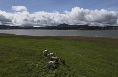 Mexico says US suspension of beef imports because of screwworm is unfair
